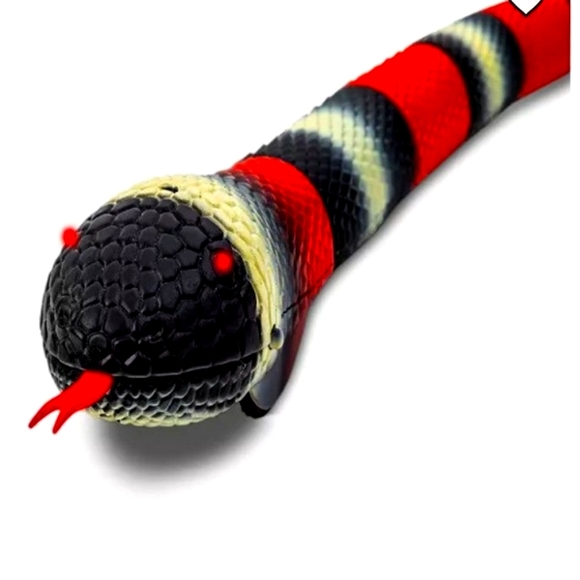 Discovery Snake - Picture 1 of 2